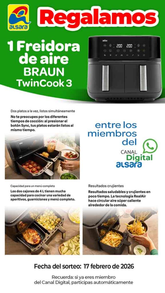 Bases del Freidora BRAUN 1