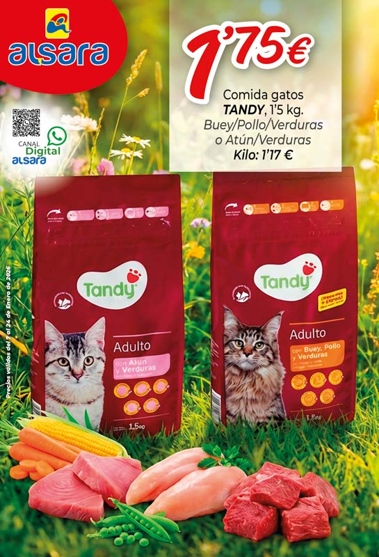 Carteles COMUNES of17-202512